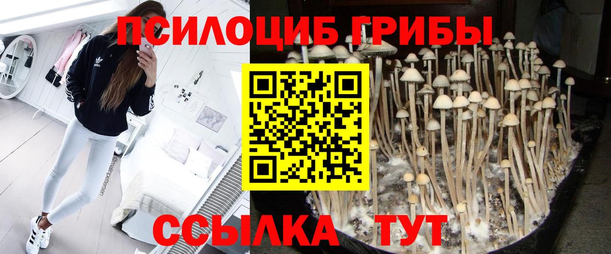 Галлюциногенные грибы мицелий  Вход с VPN  Кропоткин 